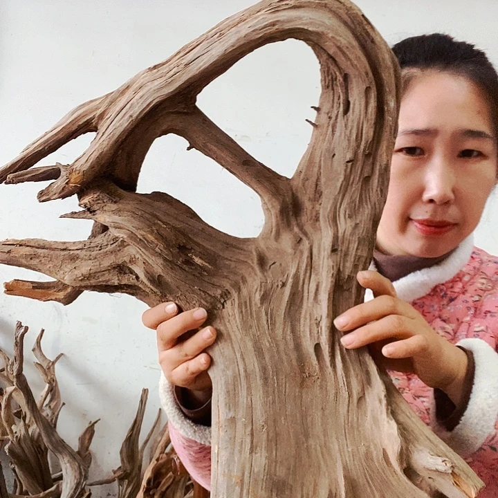 用***3香榧木太行山区之行