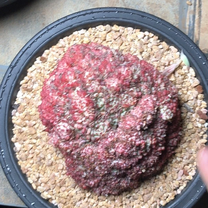 花****惪374//////////////