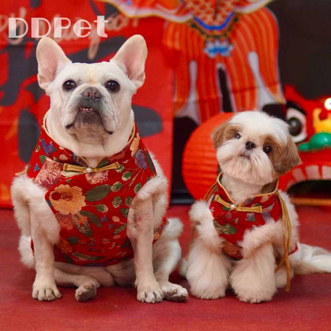 DDPET狗狗衣服宠物秋冬法斗雪纳瑞比熊西施小型犬拜年服唐装马甲