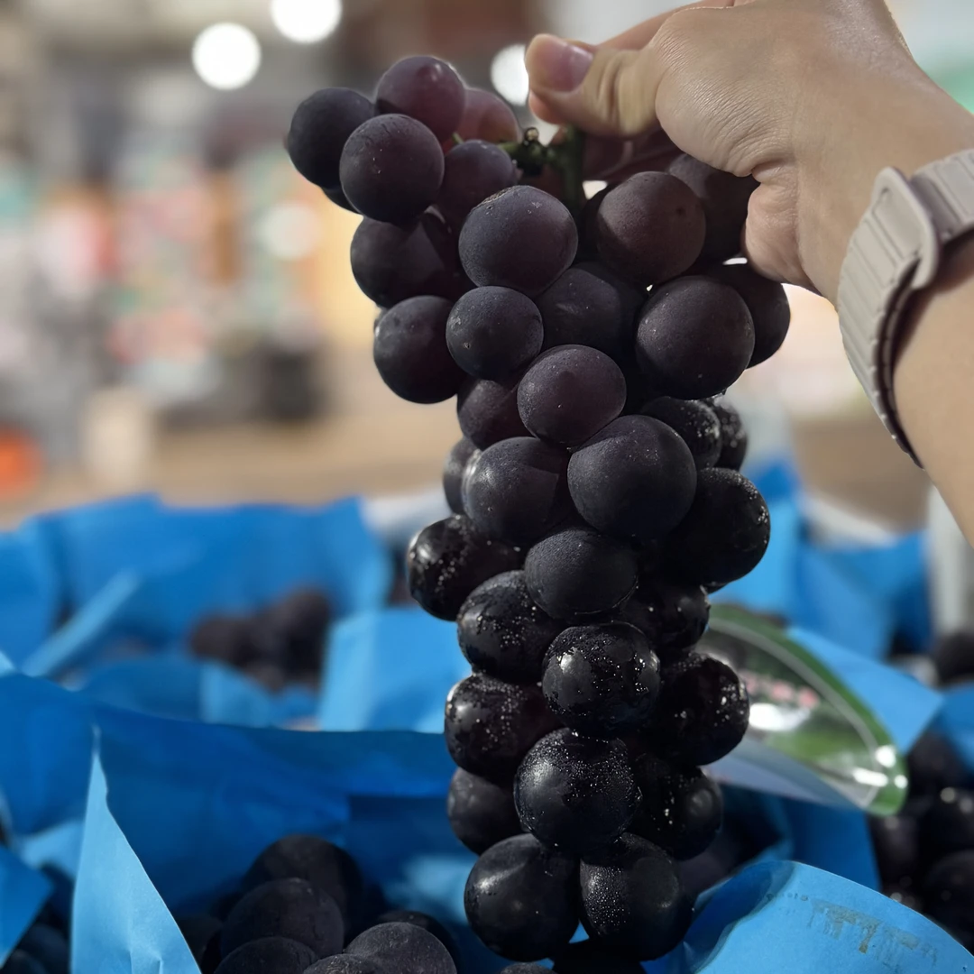 【顺丰包邮】福安巨峰葡萄 新鲜应季酸甜可口