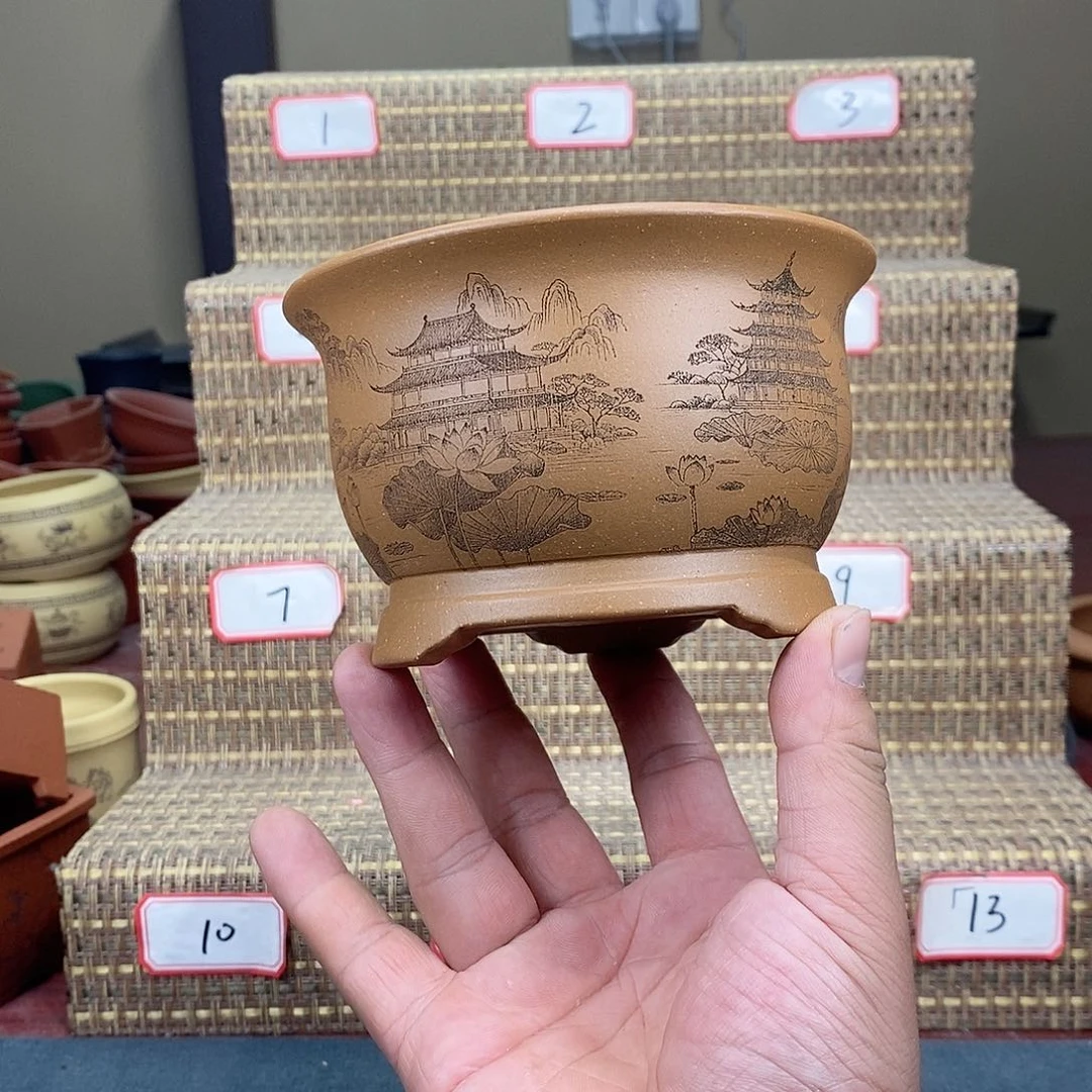 紫砂花盆我在等一