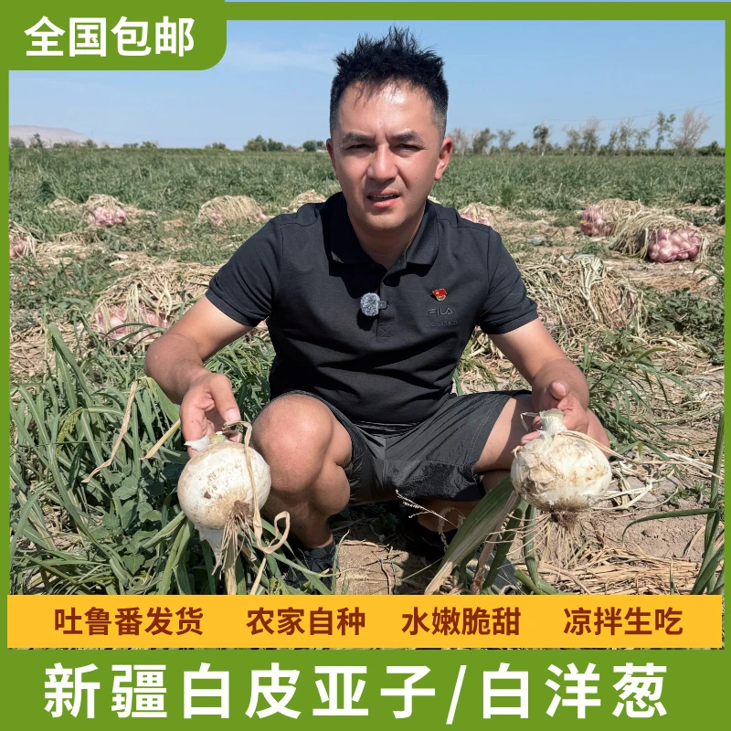 [毛兰侃谈推荐]新疆白皮牙子白皮洋葱凉拌菜新鲜蔬菜初级农产品