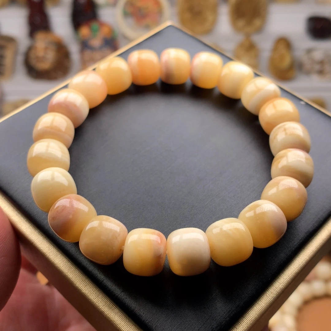 驼骨其他天天都在盘  11*10