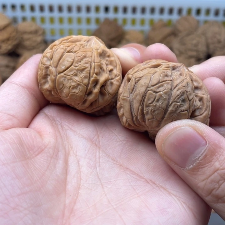 吊坠文玩核桃文山舌头全品