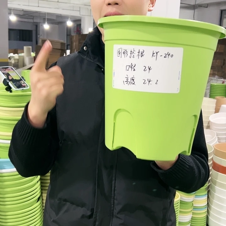 正品圆控口24高24果绿色8只无托