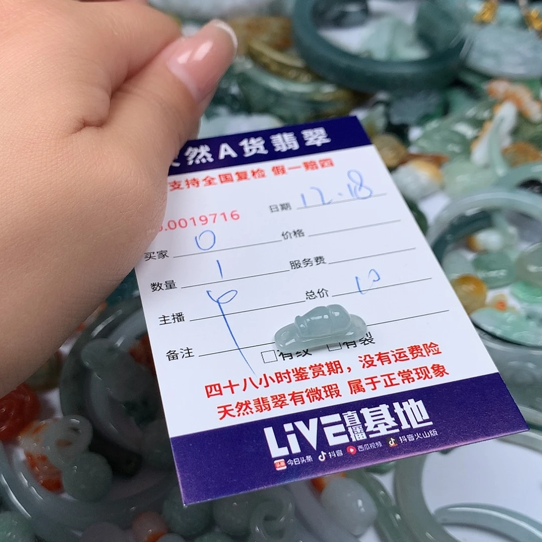 ****翡翠未镶嵌颈饰11