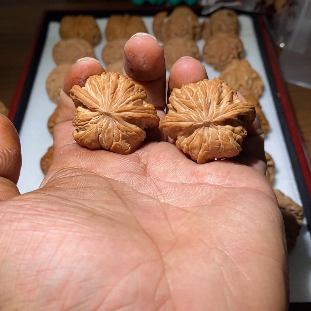 磨盘对蛇。