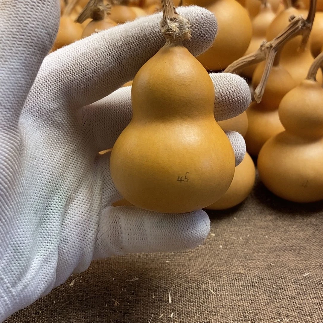文玩葫芦 完美主义者 慎拍45