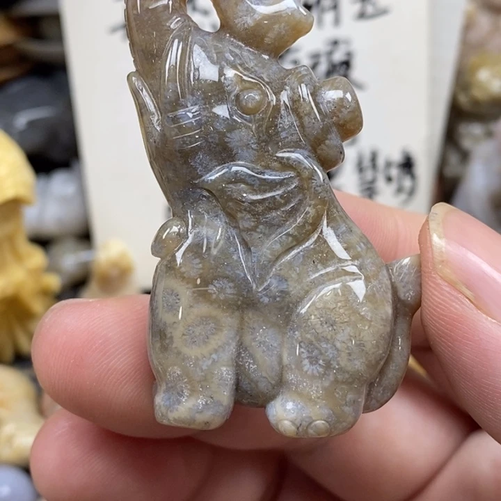 硅化珊瑚（珊瑚玉）未镶嵌颈饰