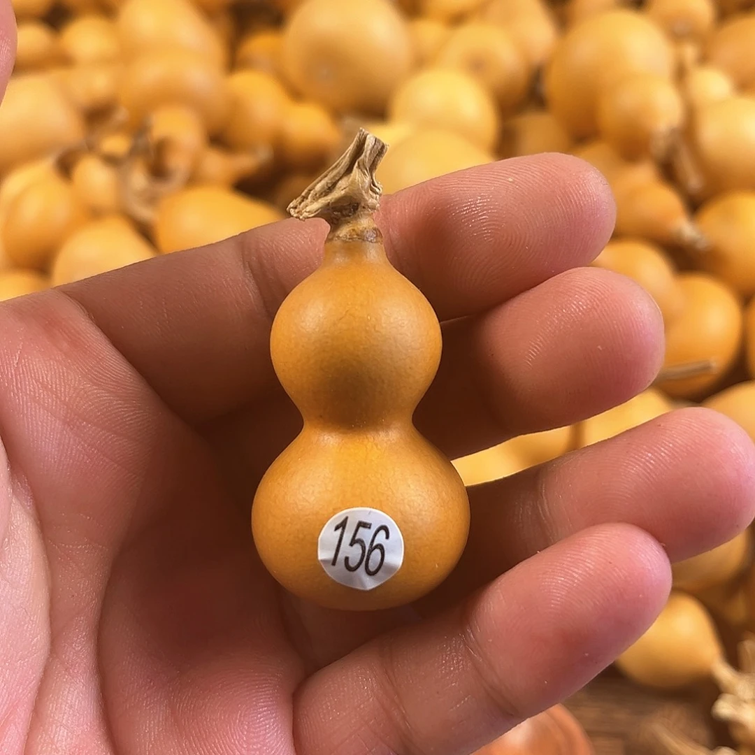 一葫芦葫芦葫芦葫芦葫芦156