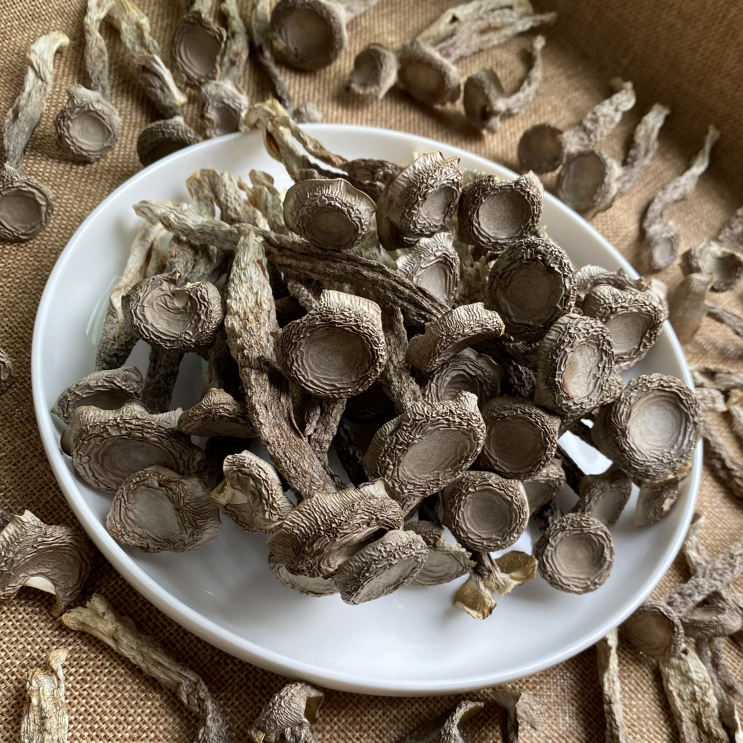 无硫鹿茸菇干货 鹿茸菌脆脆菇 非特级 云南菌菇 鹿茸姑香菇煲汤料