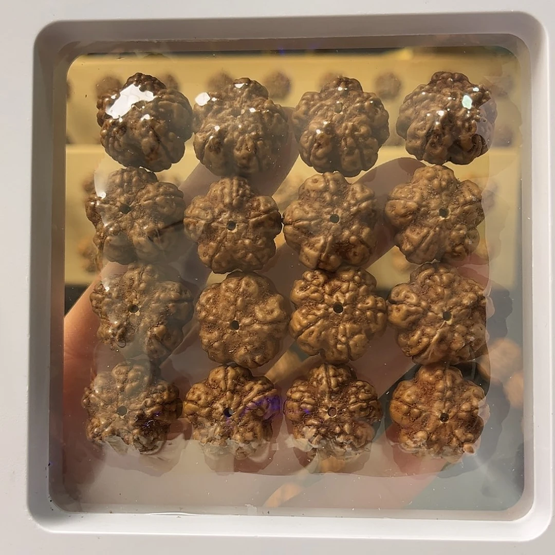 金刚菩提手串帝王花