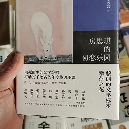房思琪的初恋乐园