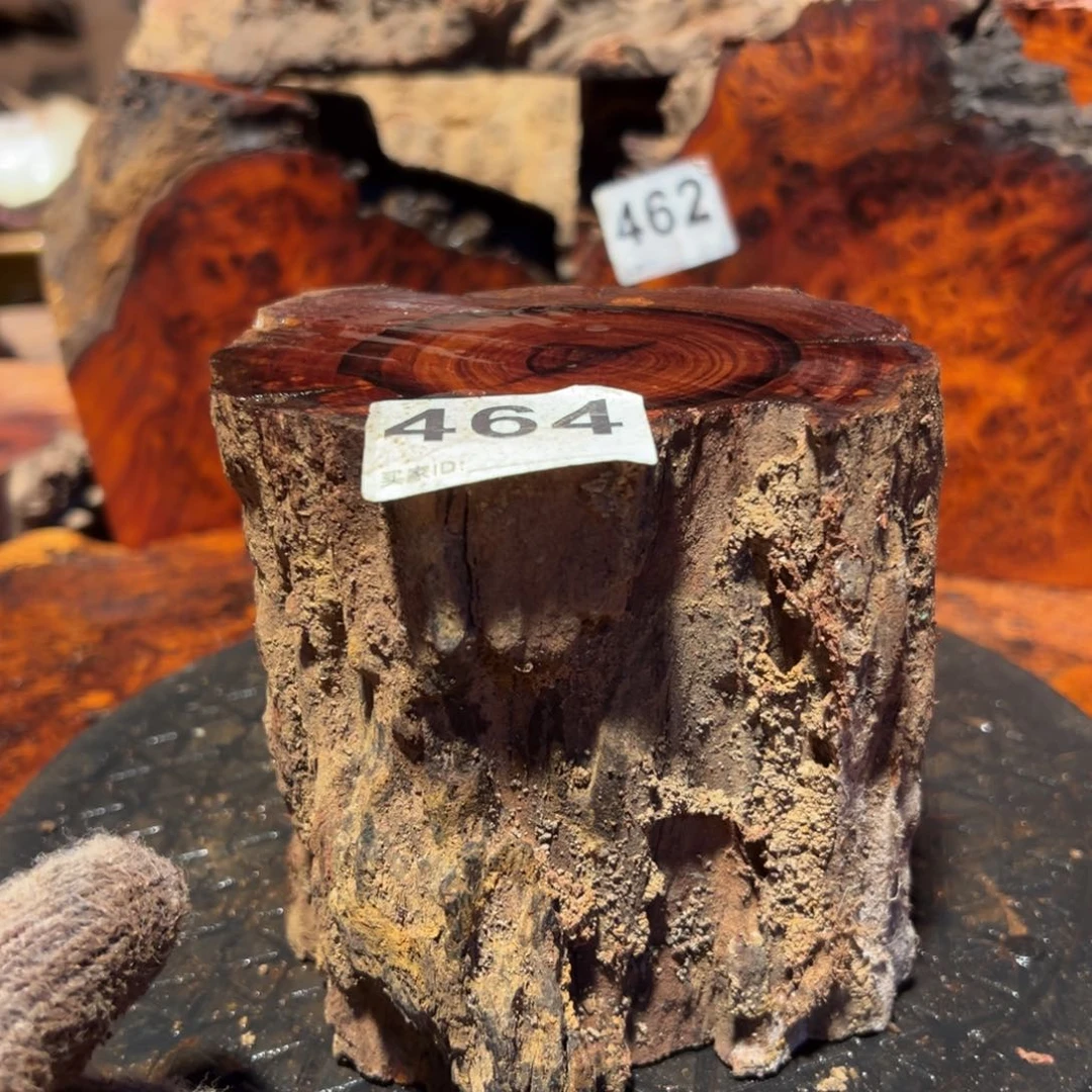 大果紫檀（缅甸花梨）