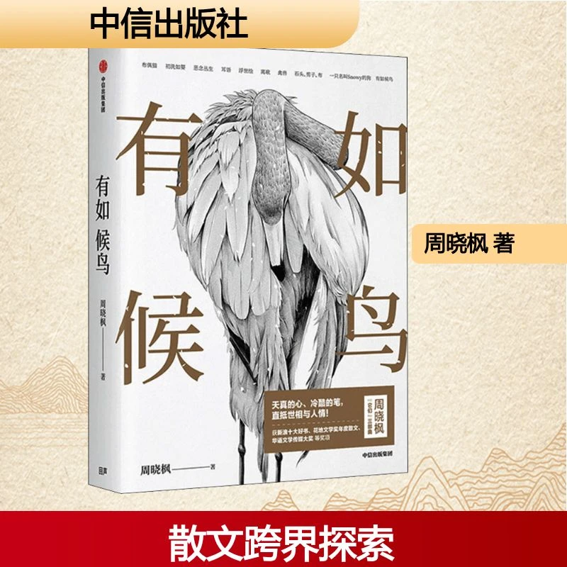 【文轩】有如候鸟 散文