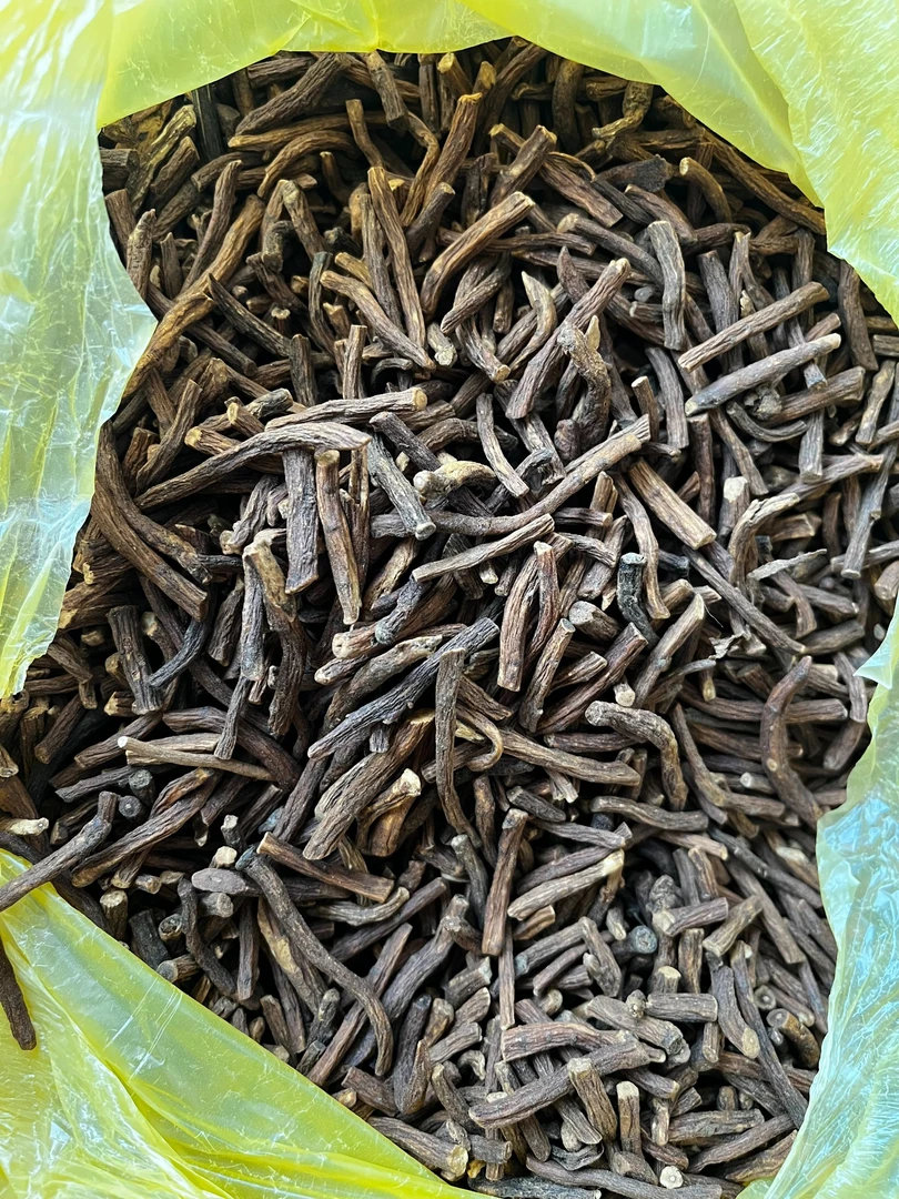 [甘肃老乡代卖] 蒲公英中根