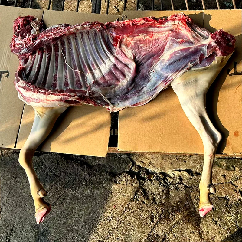 【整边黑山羊肉】顺丰冷链现宰现发带皮带骨新鲜正宗跑山羊农户散养