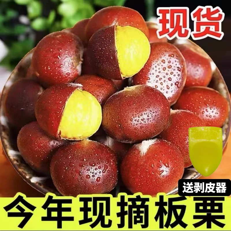 【买3斤送2斤】新鲜现摘高山板栗清脆甘甜鲜香生栗子难剥皮送栗爪Z1