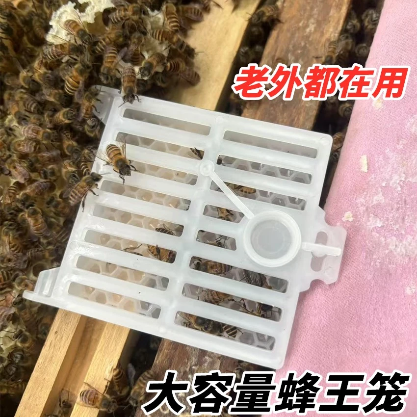 蜂房邮寄王笼控王邮寄王笼介王塑料储王器中蜂控王笼意蜂关王器