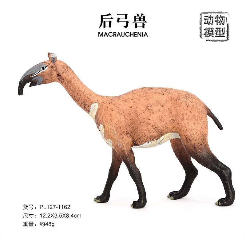 后弓兽仿真动物模型恐龙远古兽长颈骆驼滑距兽美洲貘小孩玩具摆件