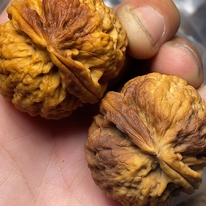 文玩核桃把件云南铁核桃B14