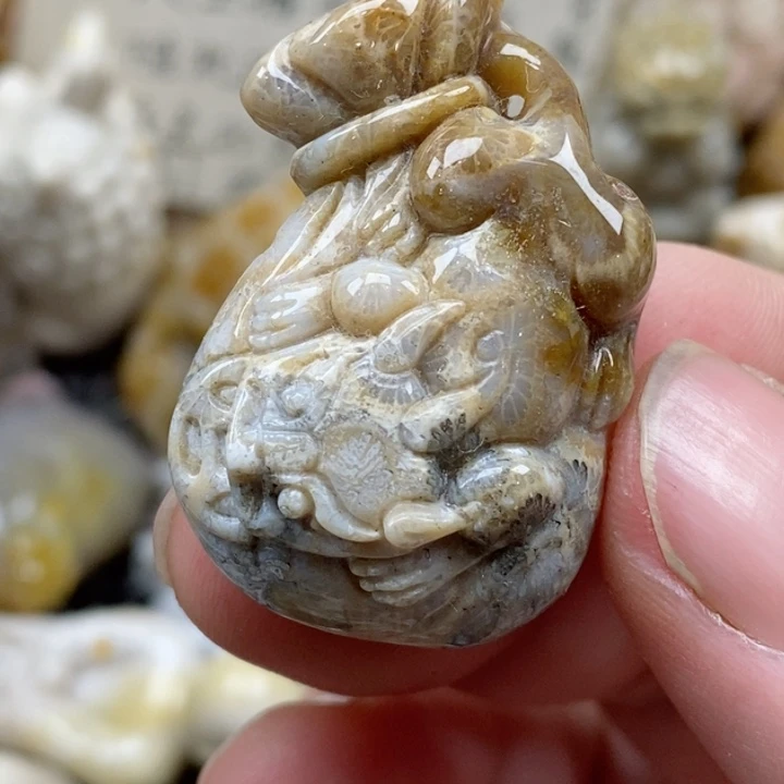 颈饰未镶嵌硅化珊瑚（珊瑚玉）小