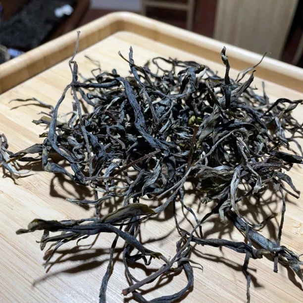 【上岭岗“某有林”高杆古树晒青】-2025年古树晒青