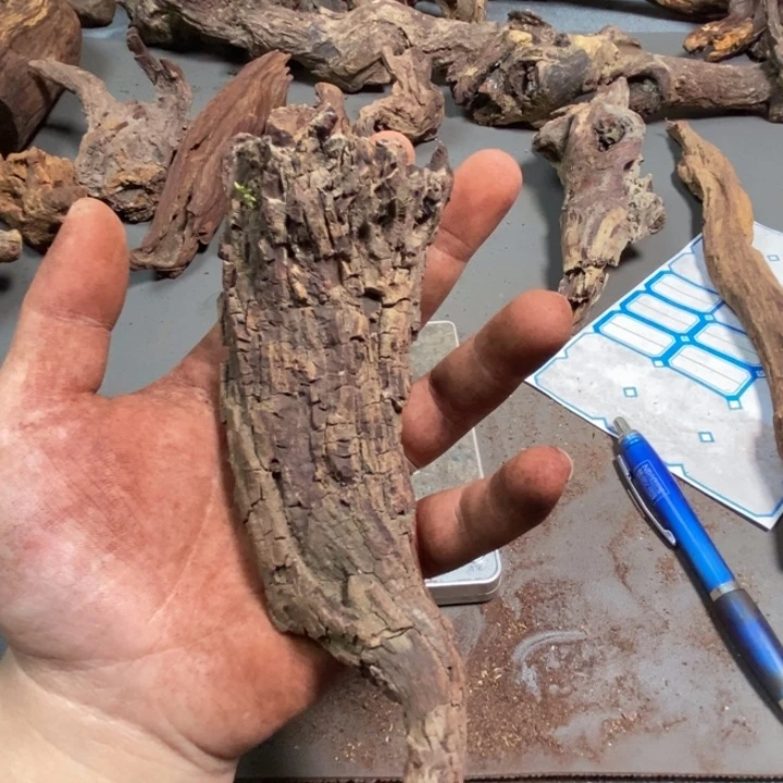 黄花梨/降香黄檀韩海南红降