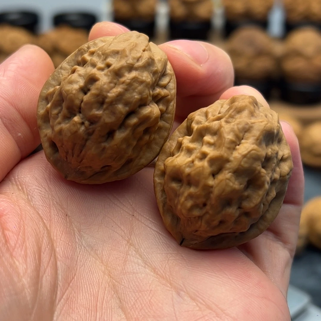 文玩核桃把件铁核桃12-28