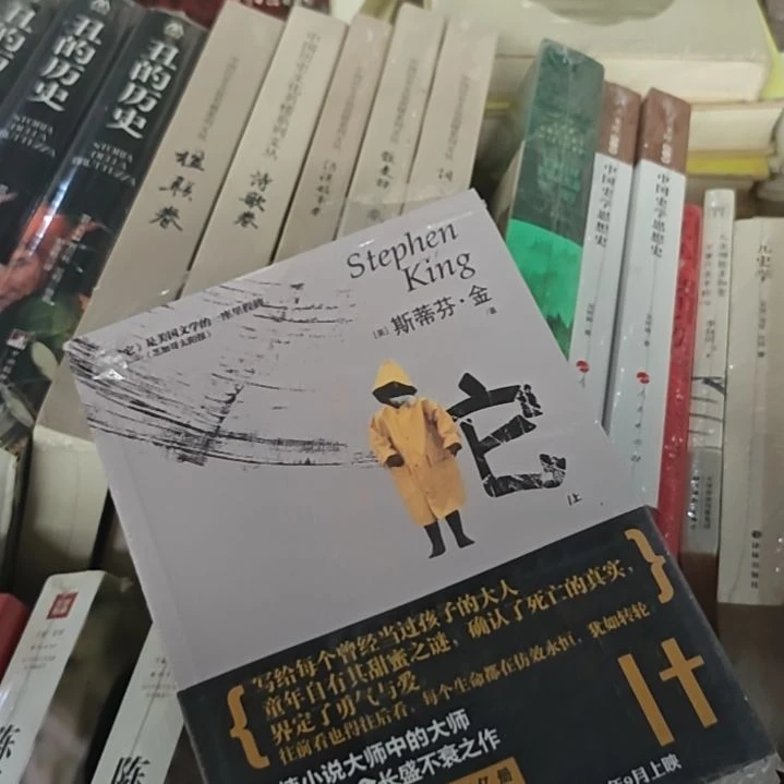 史蒂芬金著他上下两本平常还行吧。