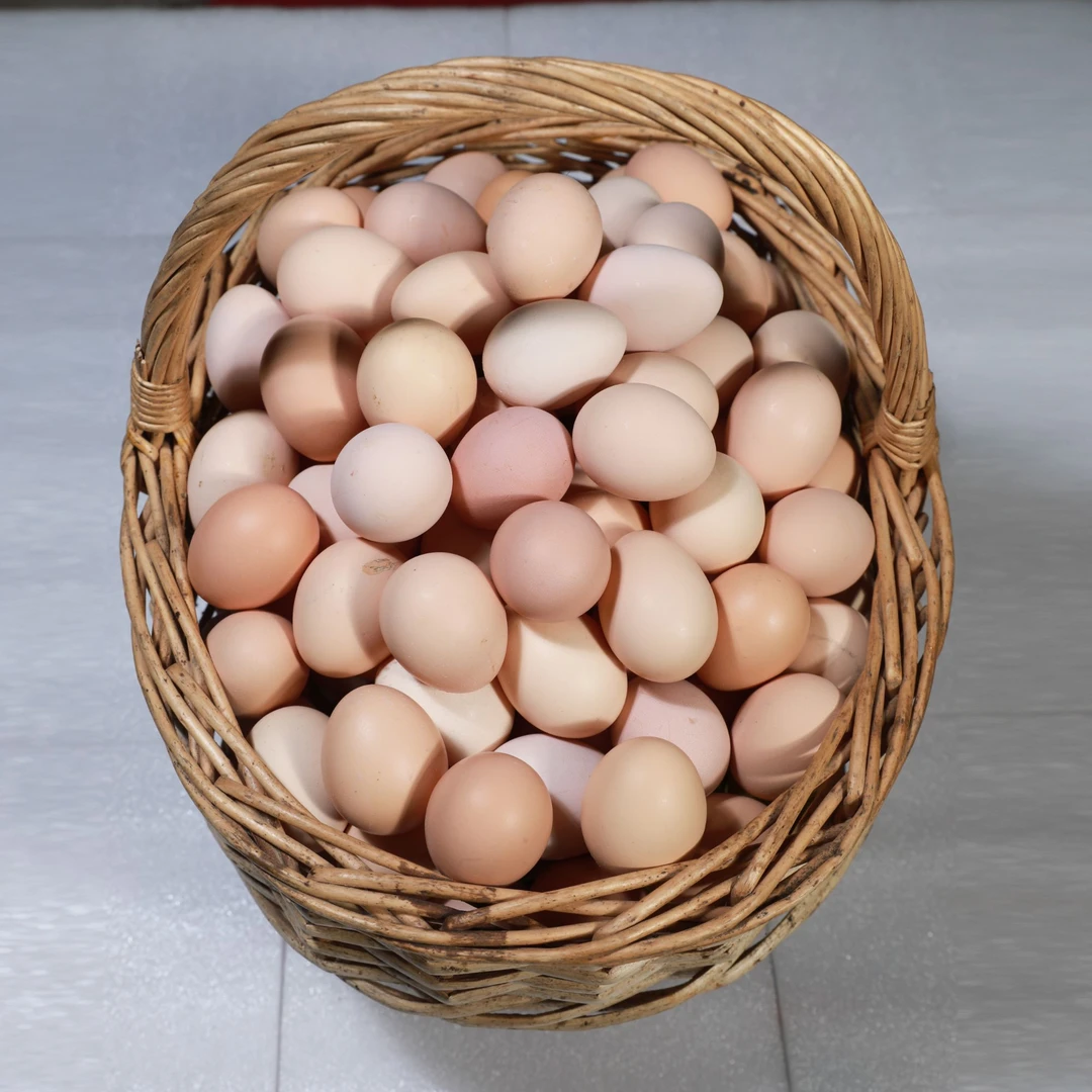 当天新鲜 现捡现发 10枚 农家散养土鸡蛋