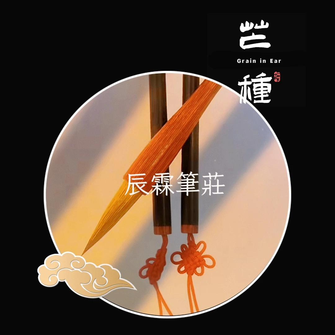 【辰霖笔庄1】秒拍1 定制链接 直播间专属链接