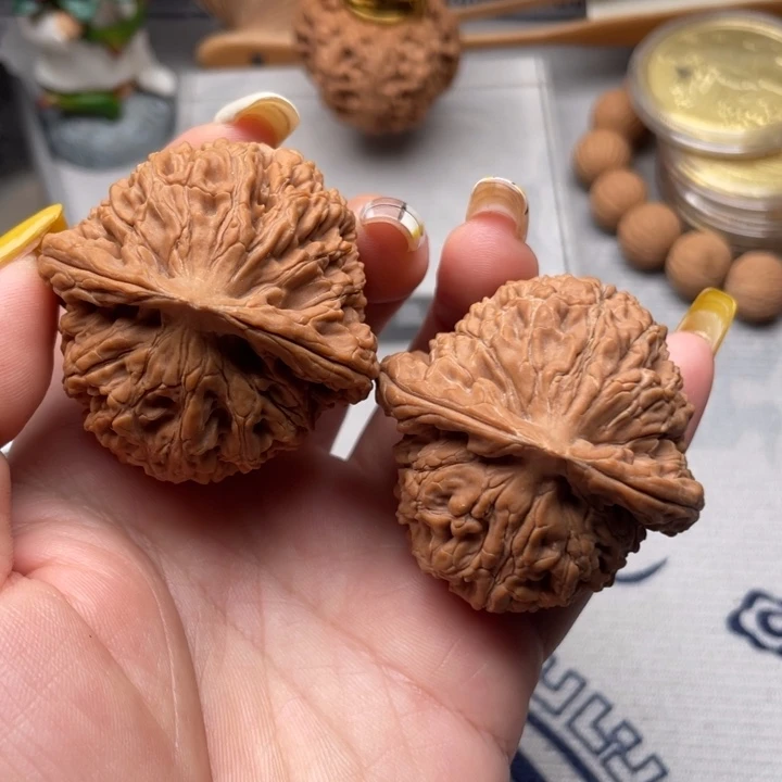 文玩核桃把件水龙纹