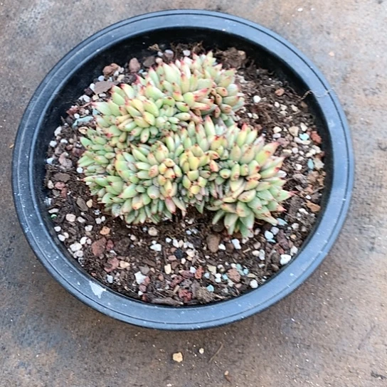 开**好每日特价活动开始啦