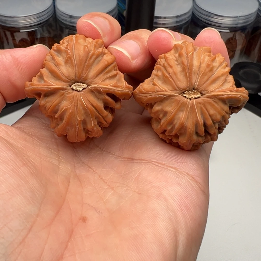 文玩核桃把件磨盘40尺