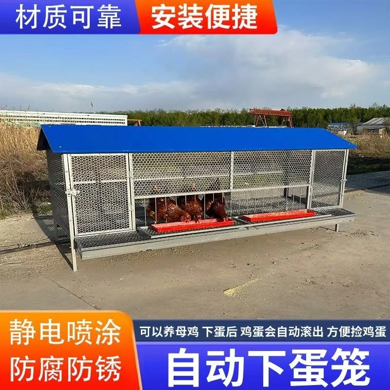 （配件款）自动收蛋鸡笼加密圆孔防黄鼠狼老鼠麻雀烤漆可以拆卸鸡笼