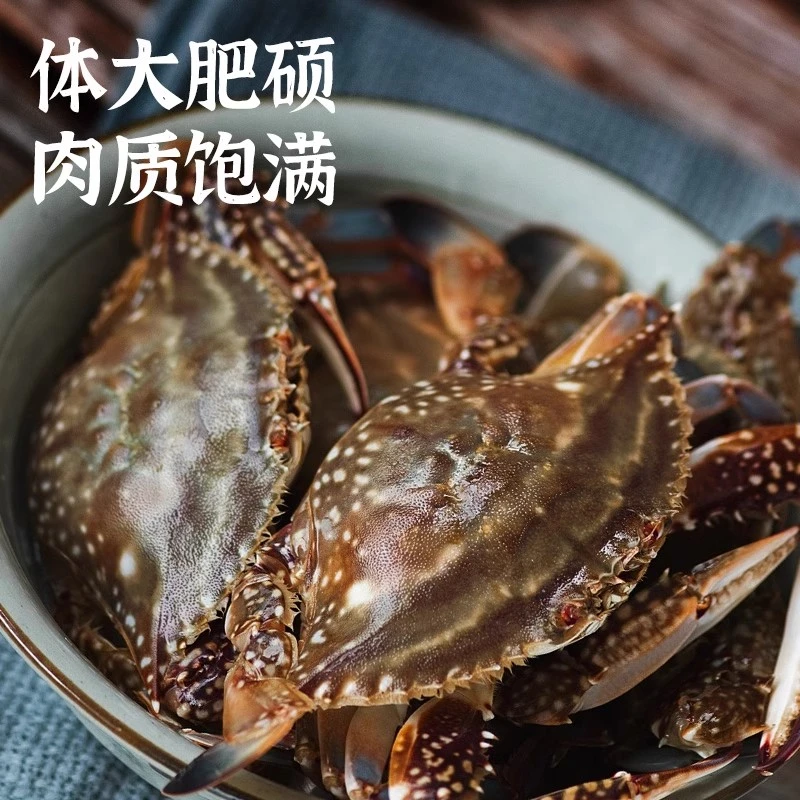 三点蟹打氧咚蟹活发500g蟹同城配送海鲜