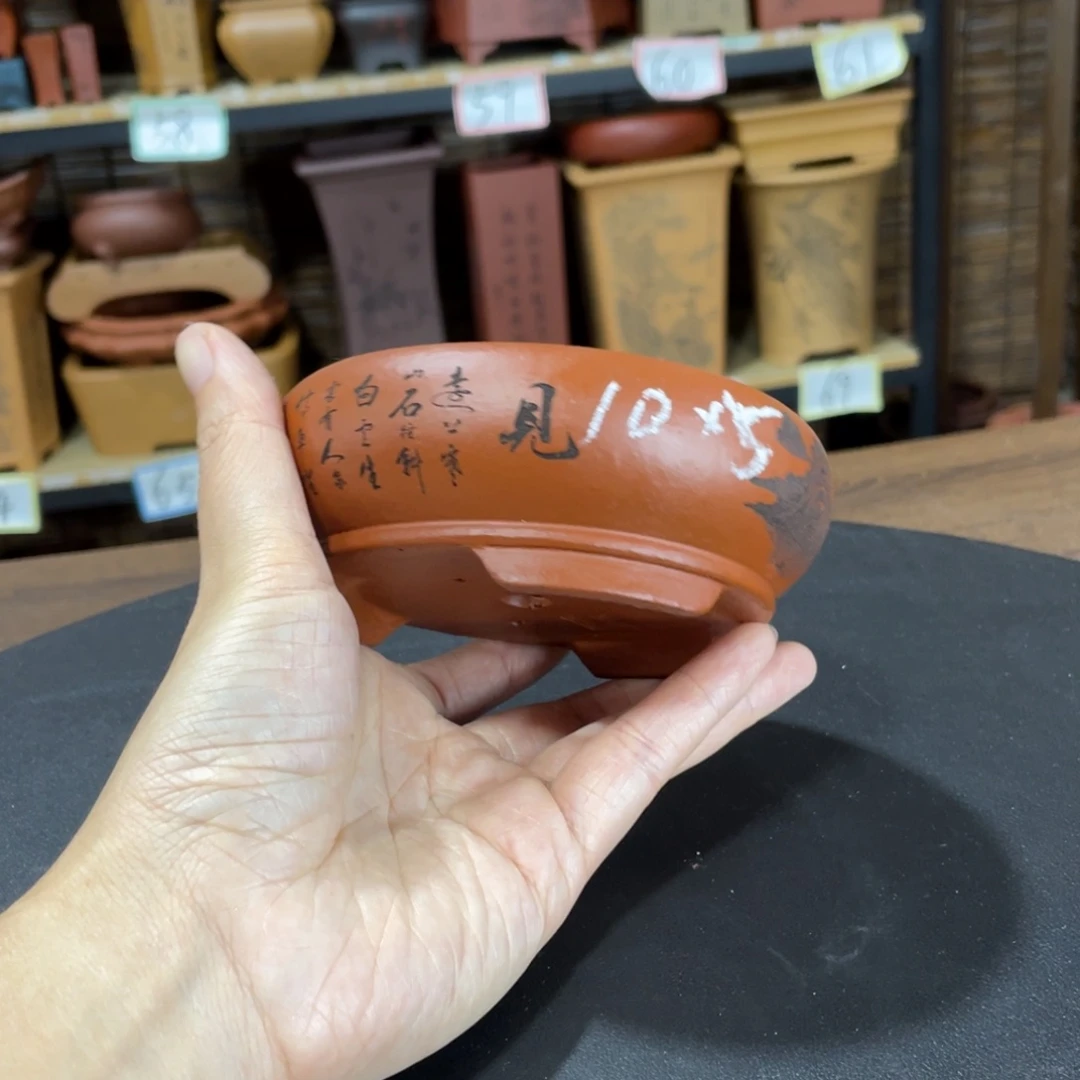 花盆紫砂紫砂和白