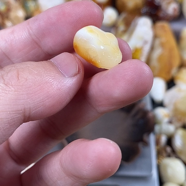 琥珀未镶嵌裸石我