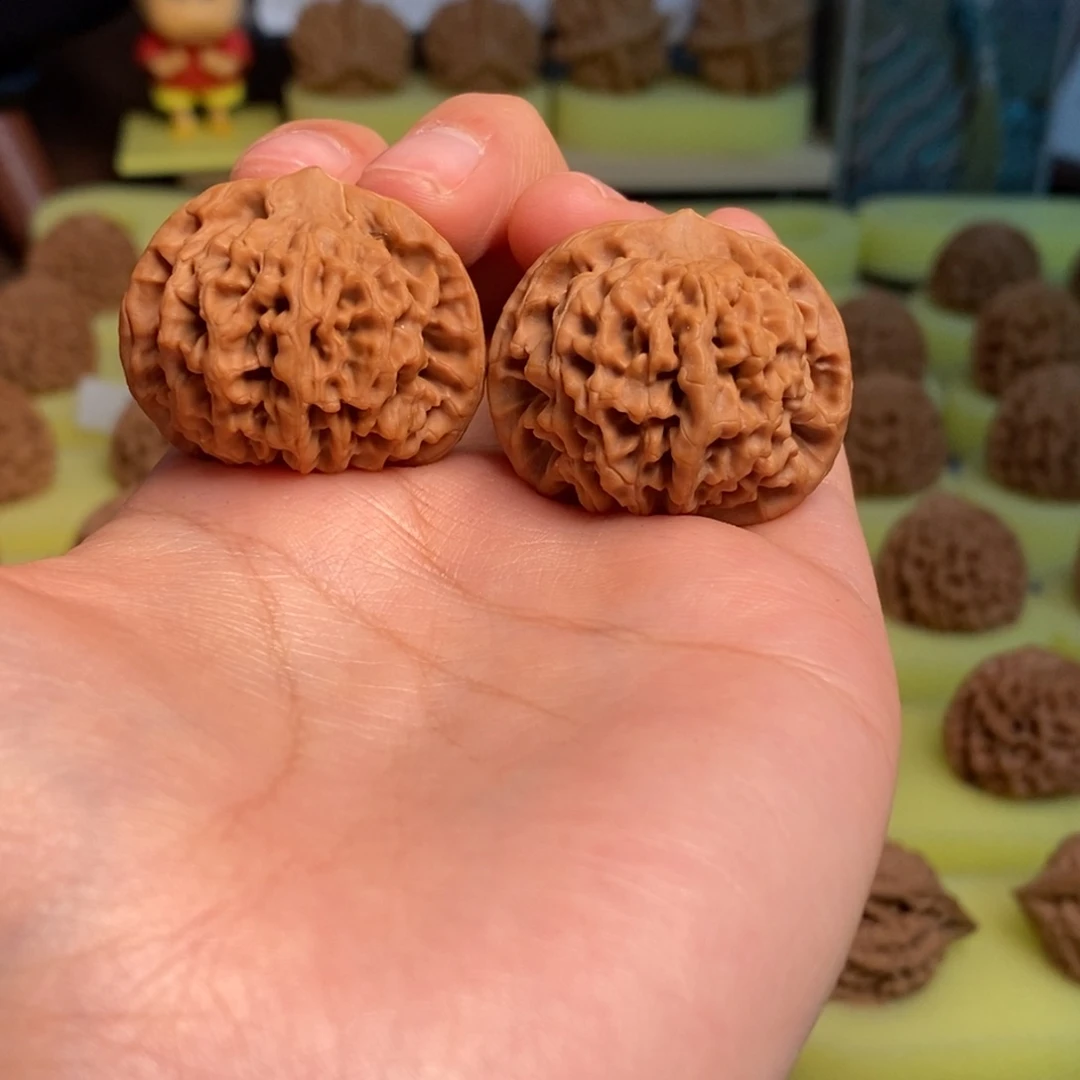 核桃秦岭闷尖狮子头33