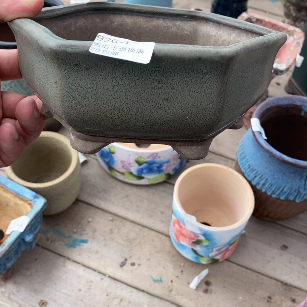 1号花盆内16高7花盆