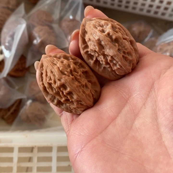 -***-大红袍大红袍大红袍