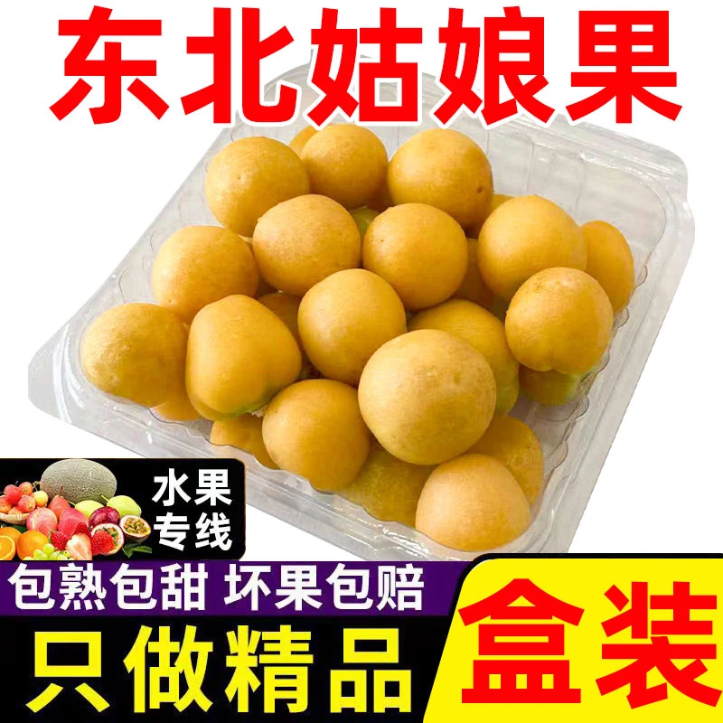 【粒粒精选】东北黄姑娘果产地直发精品盒装灯笼果菇娘果1-8盒装