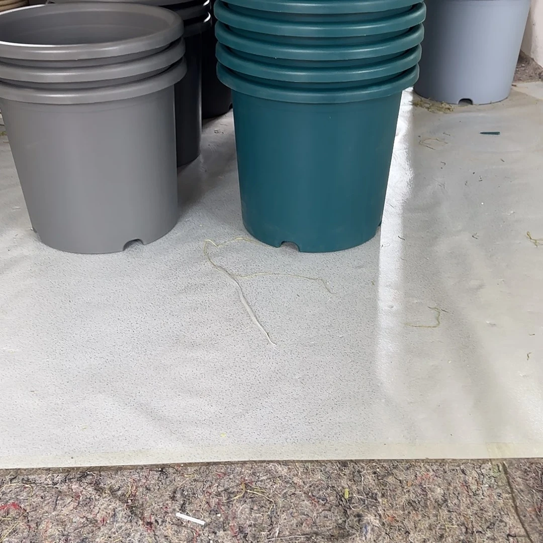 微瑕8号2个带托，军绿