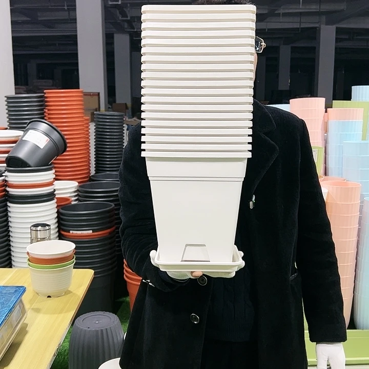 正品方盆口20高22白色6只带托