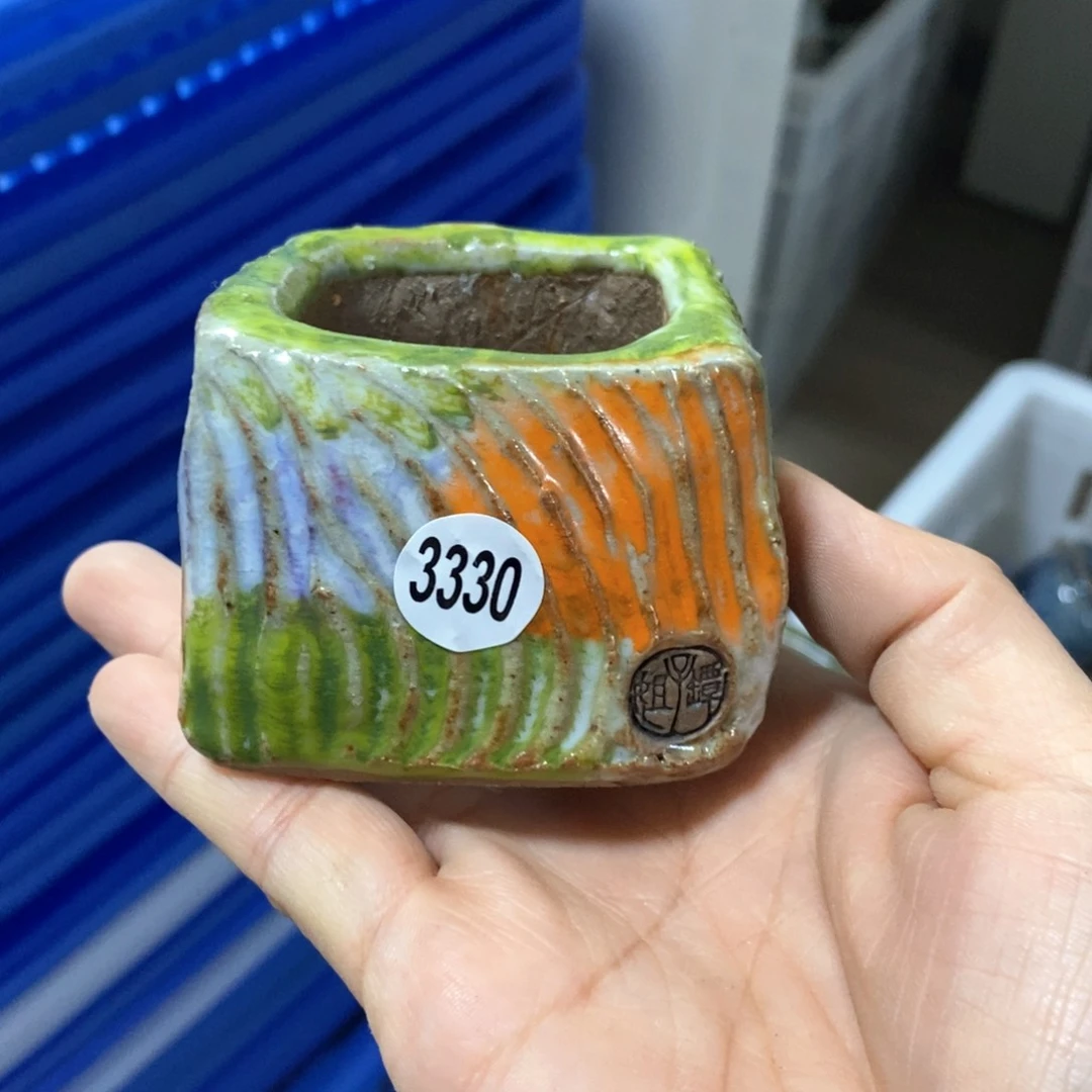 拍5送一个小礼物