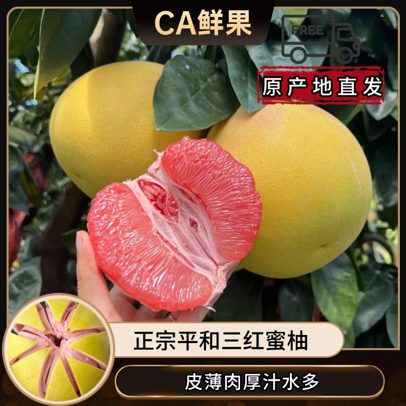 【原产地直发】2025正宗平和三红蜜柚 皮薄果肉厚香甜多汁 送开果器