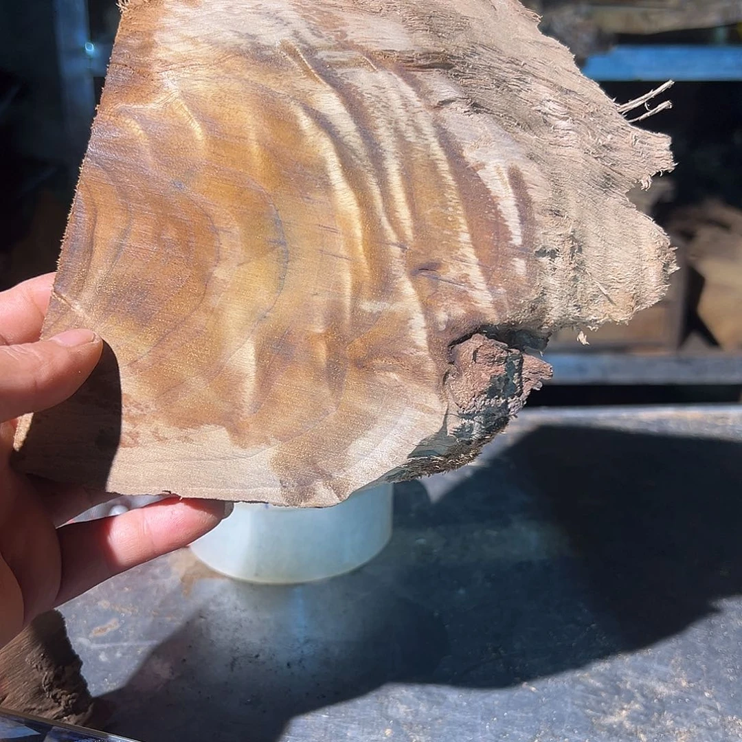 楠木斫*坊22222222222222