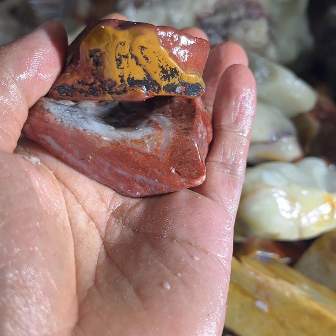 时***转寿山石888888888888