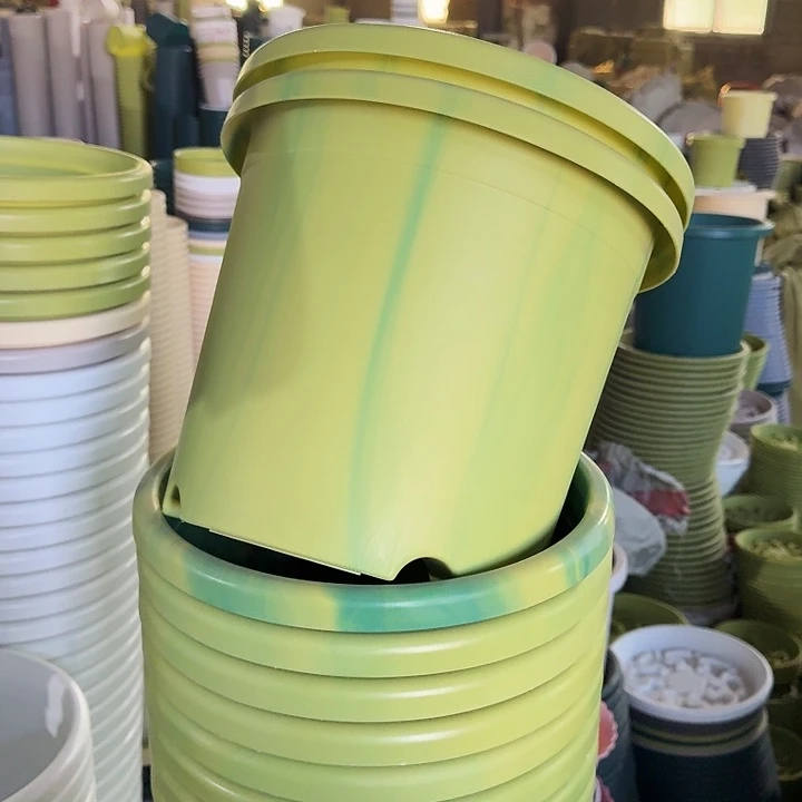 串色5#口径29果绿5个无托